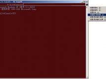 发个命令行的外壳：Live console